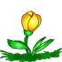 sm2.gif