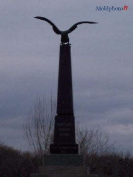 100_0603.JPG