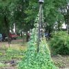 100_2066.JPG