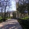 condru_1.jpg condru_1.jpg