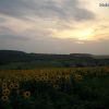 tramonto_campo_girasoli_grigorovca.JPG