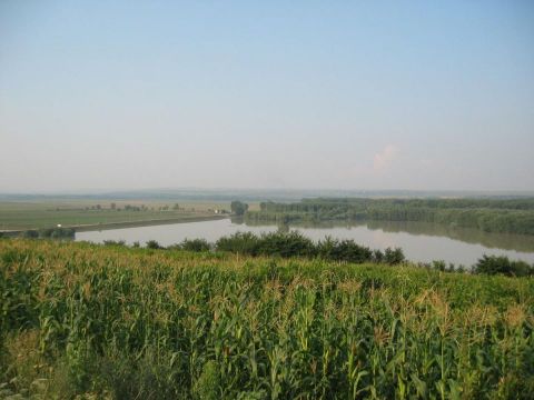 le verdegganti colline Moldave 