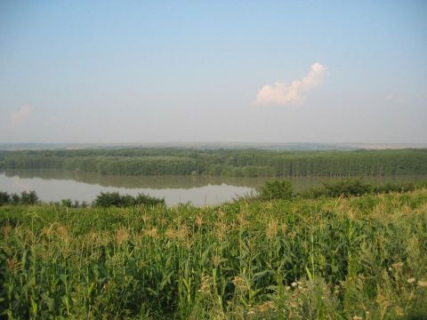 IMG_0018.JPG