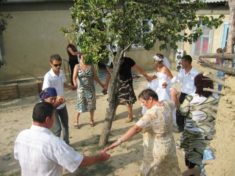 danza intorno all'albero del cortile danza intorno all'albero del cortile
