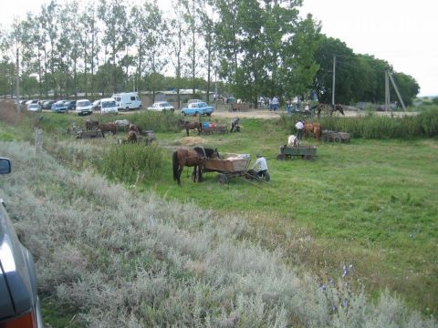 il parcheggio del mercato