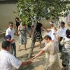  danza intorno all'albero del cortile