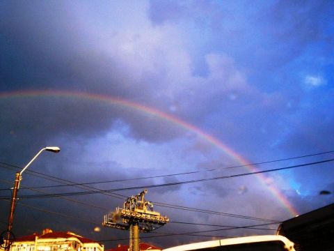 001_1585.JPG