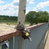 le promesse d'amore sul ponte di Tiraspol le promesse d'amore sul ponte di Tiraspol