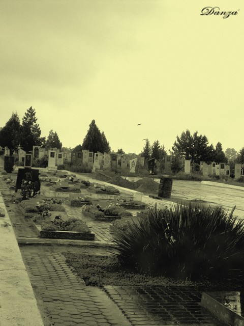 cimitero delle vittime della guerra del '92 - Bender
