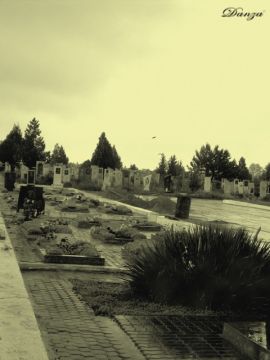 cimitero delle vittime della guerra del '92 - Bender cimitero delle vittime della guerra del '92 - Bender