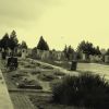 cimitero delle vittime della guerra del '92 - Bender cimitero delle vittime della guerra del '92 - Bender