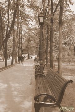 il viale degli scrittori classici