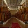 fabbrica di cognac Kvint - Tiraspol
