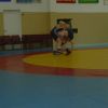 scuola sportiva di lotta libera, lotta greco romana, box e kick boxing 