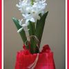 1 Martie - Martisor 1 Martie - Martisor