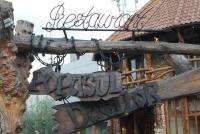 Allega immagine: IMG_4256.JPG